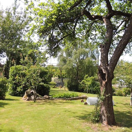 La Ferme Du Bourg Bed & Breakfast Eraines Exterior foto