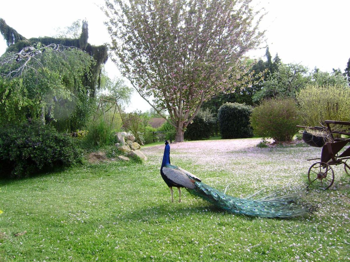 La Ferme Du Bourg Bed & Breakfast Eraines Exterior foto